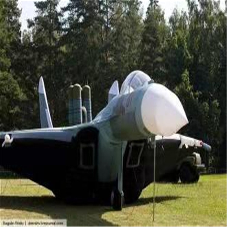 卢龙充气模型飞机制造商家